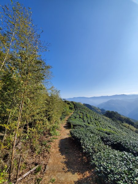 勇闖雲嘉五連峰821320