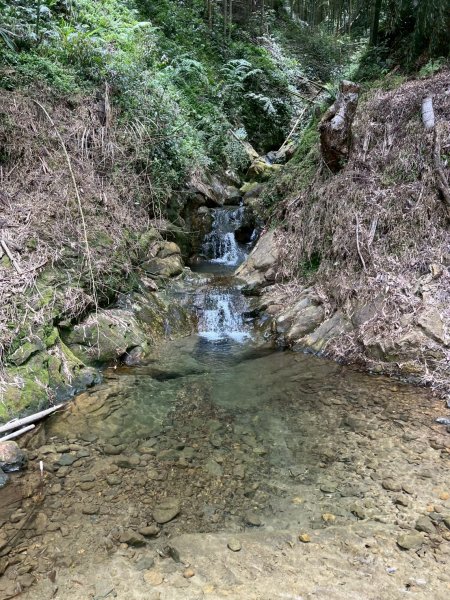 嵐山再古坑。五元兩角 木馬古道2806230