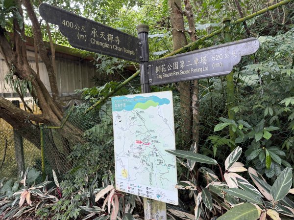 [微笑山線_第四段] 2026_0321 天上山系_天上山3020960