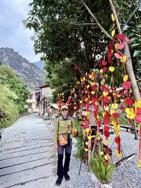 滇西北亞丁自由行D9-10（虎跳峽高路徒步D1-D2）3130714