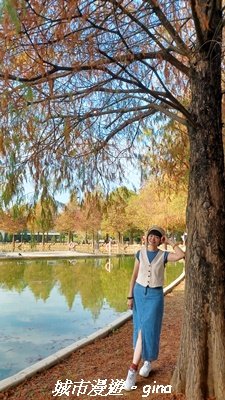 【南投名間】欣美創意園區~落羽松2968335