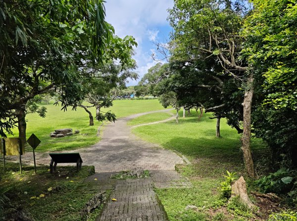 [百山百鳥尋旅-02/15] 2025_0809 社頂自然公園步道2857217