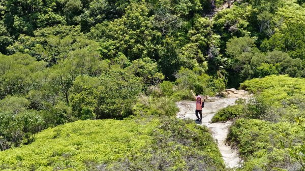 (姨婆趴趴走)第四十三集:攀登連走奇岩山、軍艦岩、丹鳳山2499513