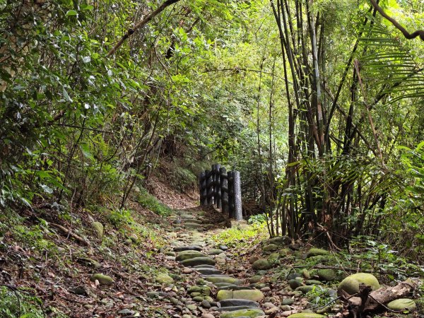 [皮皮獅動物派對-03/10] 2026_0822 石光古道(老虎山步道)3120796