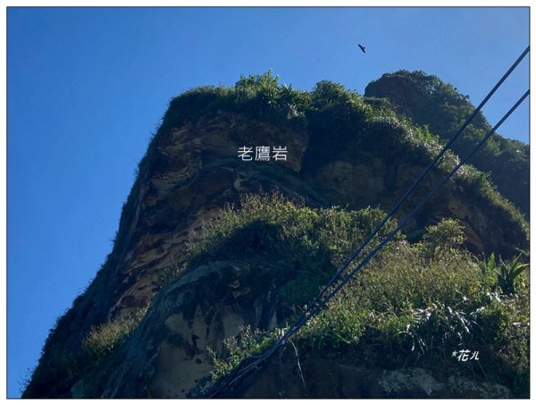 水湳洞、南雅奇岩、南雅地質步道2912113