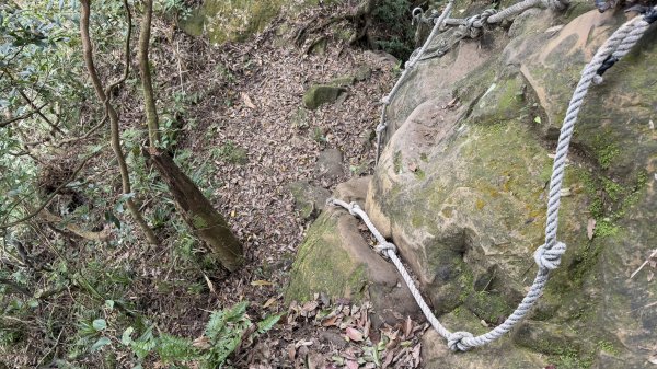 上上又下下的筆架連峰|西帽子岩|炙子頭山|峯花雪月2691188
