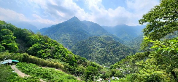【中級山縱走】水雲三星，橫龍山，騰龍山，橫龍古道2742983