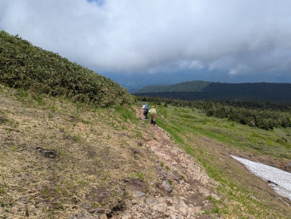 20260703 秋田森吉山3081917