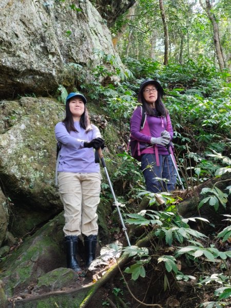 油羅山202503092731887