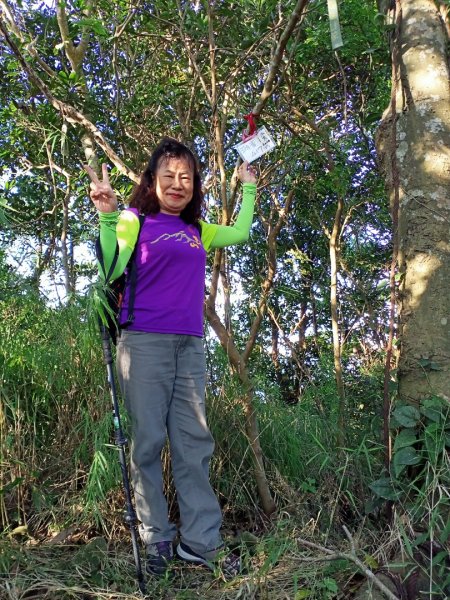 【山系野遊,探索觀音山尋寶任務】尖山步道1146118