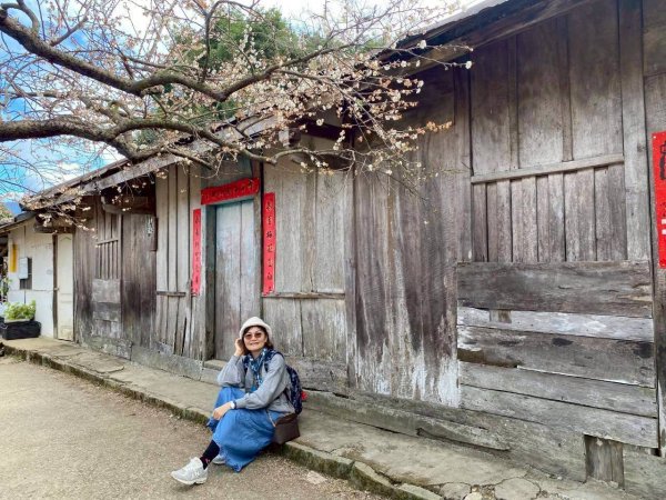 🌈1/17（六）蔡家古厝賞梅×梅子夢工廠×車埕老街✨FB：熊熊趴爬走🌈2983917