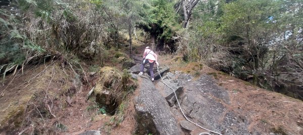 20250114東埔山；20250115二延平步道2693811