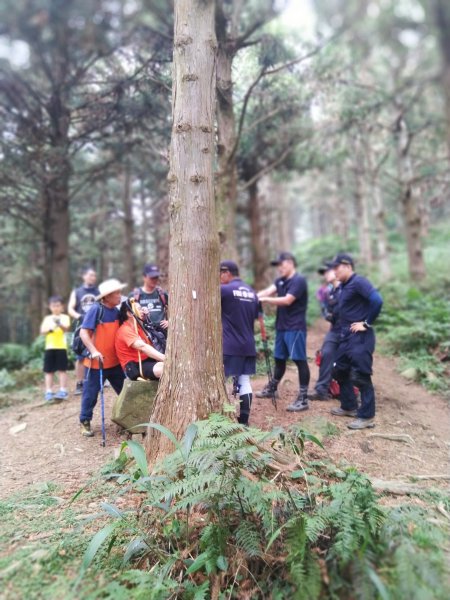 【台中。和平】綠蔭山林滿滿芬多精。大雪山林道 ~1860峰(長壽山)1425462