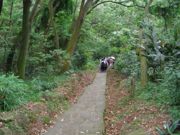 忠義山親山步道112632