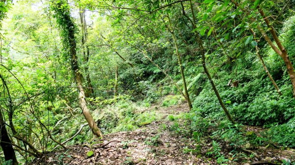 石古井,青林山,畝畝山,平溪子山2854683