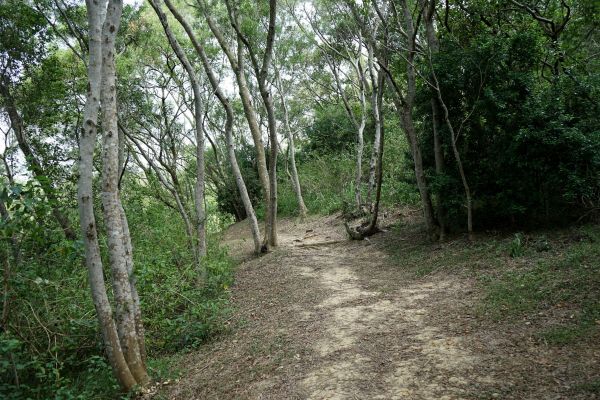 造橋口山古步道158543