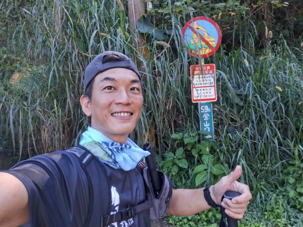 20251213白賓山走白賓名樹2963957