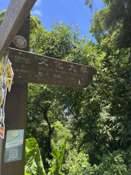 《陽明山秘境健行｜翠峰瀑布 × 天母古道 夏日涼爽路線》2852230