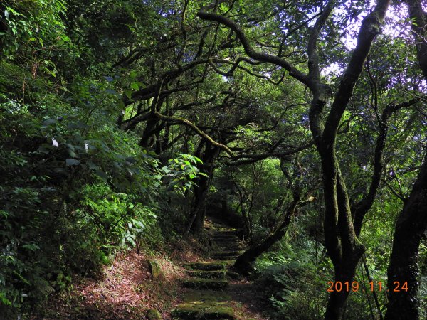 台北 士林 菜公坑山747811