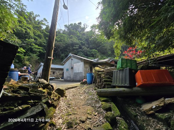 2026-04-11微笑山線：【二格山系】筆架連峰段3034554