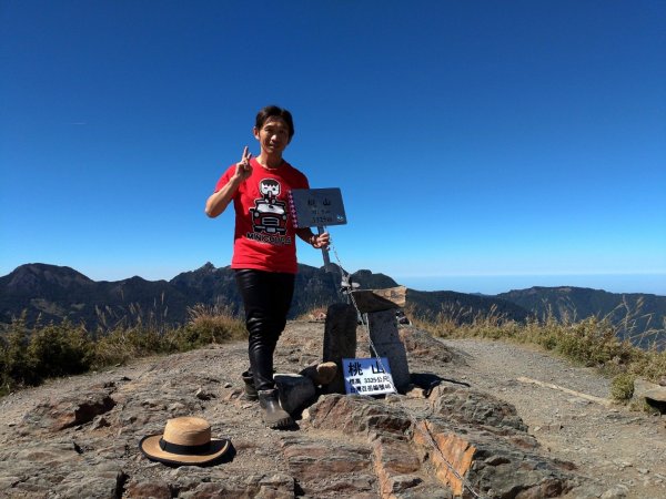 武陵四秀之桃山449054