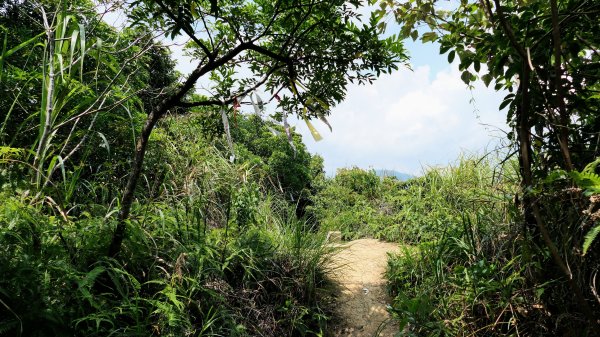 中山峽谷步道,海興步道,情人湖登山步道2581368