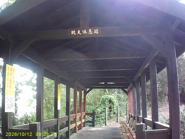 石岡區挑物古道+九房里古道O繞3133665