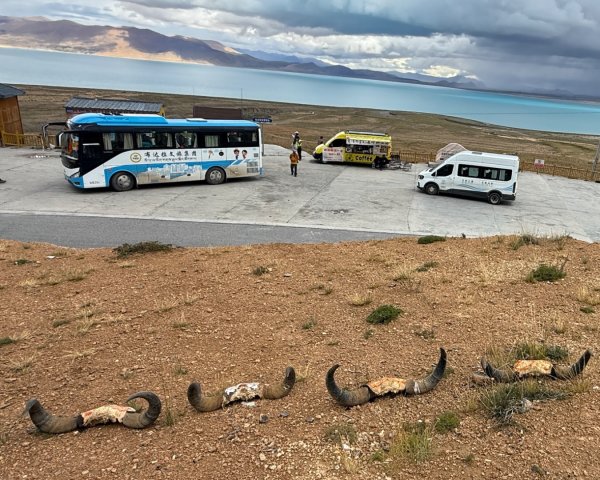 川藏318熱門的卡點-尼瑪-當惹擁措-大地之樹-雅丹地貌聖象天門2905872