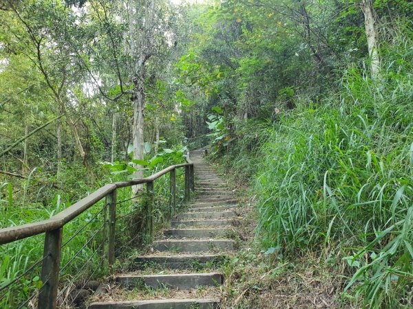 六甲赤山步道，鎮南宮後山步道1117716