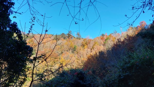 熱血一日霞喀羅賞楓之旅2785002