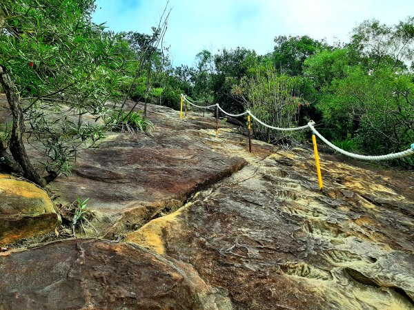 環台步道馬拉松之金面山、軍鑑岩1920018