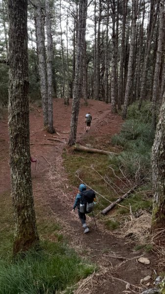 中央尖山 2025 11/7 三天兩夜2935744