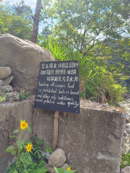 達娜伊谷-里美避難步道-巨石板步道-約富霓2788578