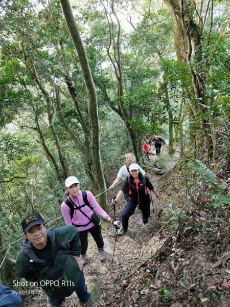 仙山登山步道503223