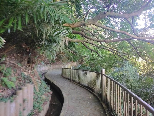 1121104貴子坑親山步道3099484