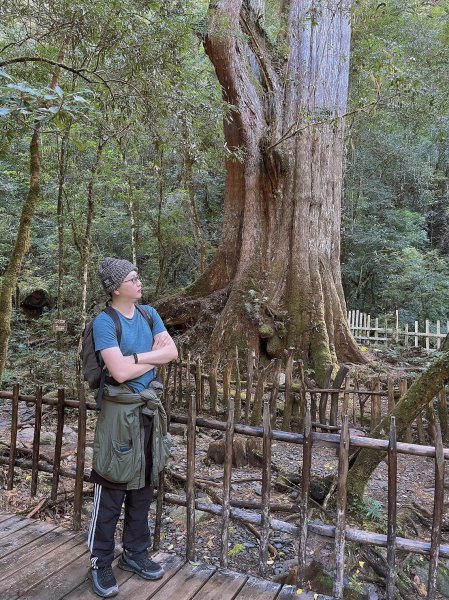 中級山-司馬庫斯2888948