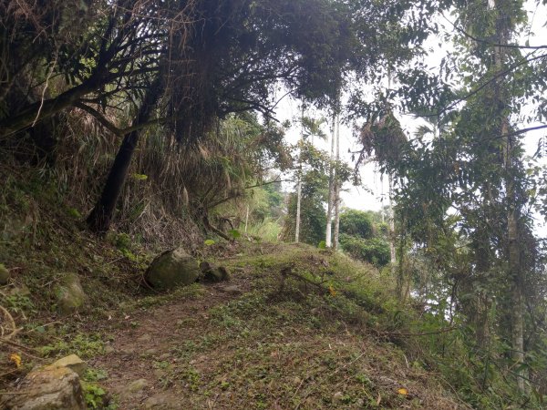 竹子尖山(小百岳#67)：梅龍步道、山稜線步道、觀音步道、階梯步道1377536