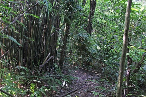 小格頭獅頭山,鱷魚頭最佳觀景點410952