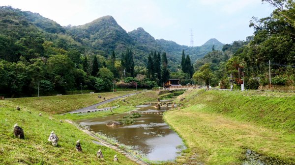 《臨江仙・碧山巖櫻花》2714209