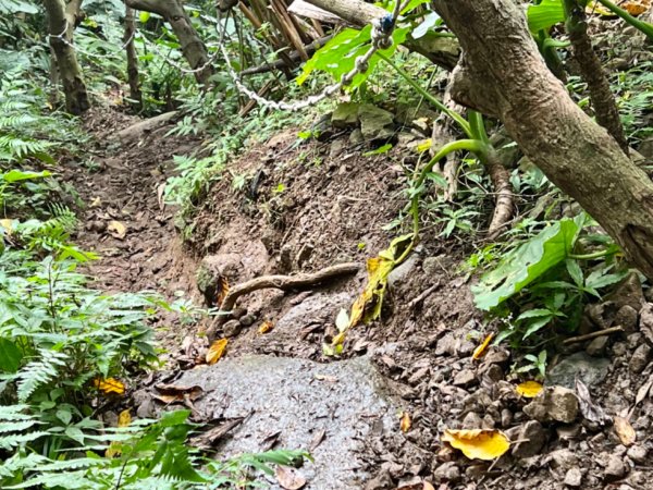 雷霆峰環走基隆山1692701