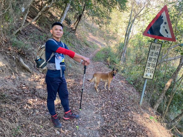 風櫃斗.牛稠坑.二坪山古道【遙知不是雪，為有暗香來】2703862