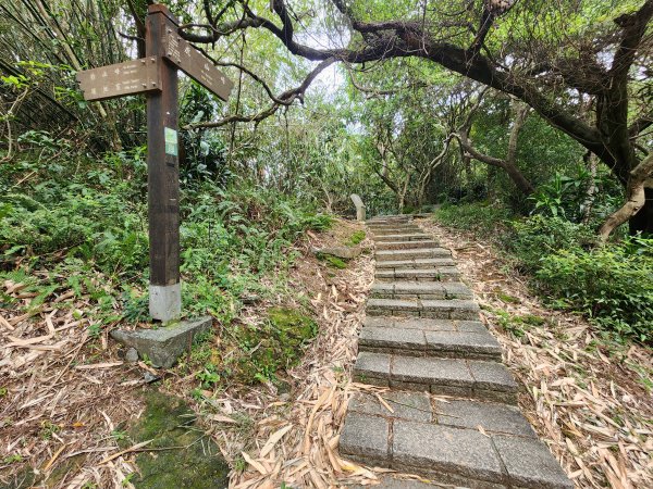 20251109四獸山步道2961748