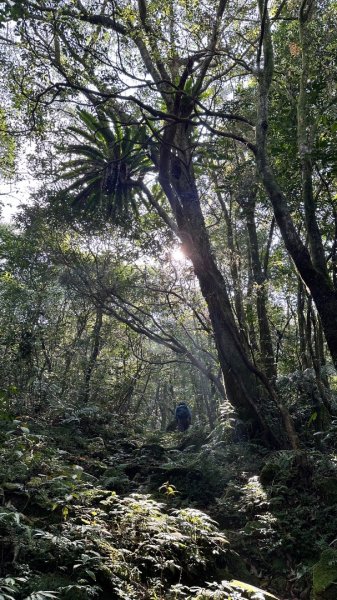 胡桶古道、梳妝樓山Ｏ走2461566