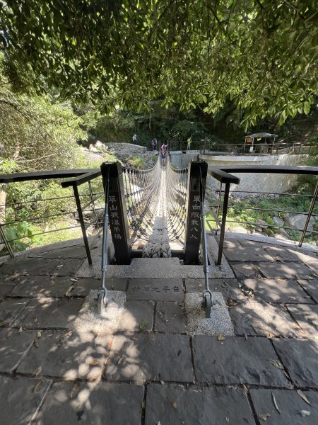 2025山之精靈2910547