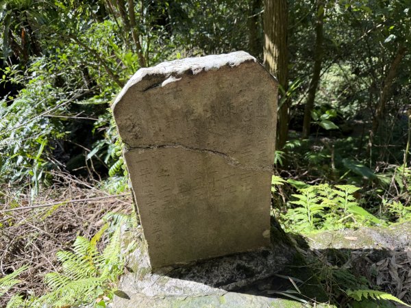 [淡蘭古道] 2026_0315 南路第三段_四分子古道3016919