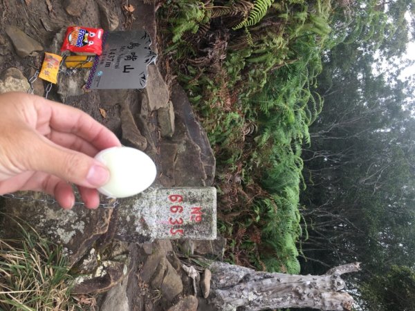 鳥嘴山（上島2708530