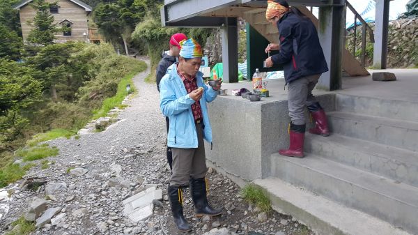 玉山主峰步道 2017 06 27140371