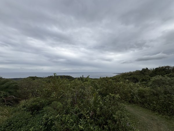 20251129大山母山步道2951879