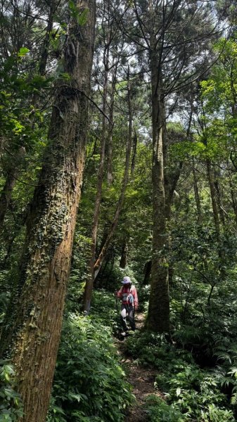 石龜山、叢雲山O走2592637