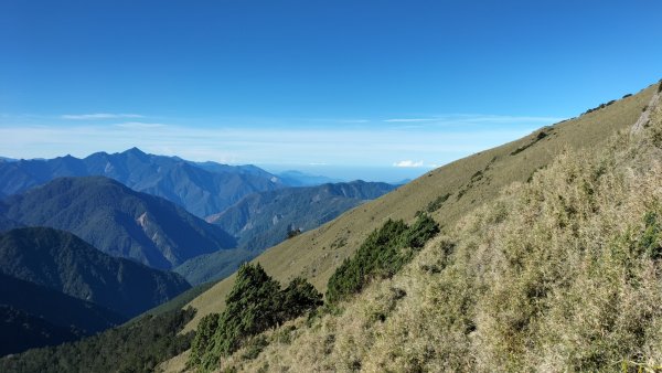 20250825_南玉山2880483